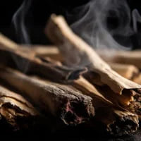 Palo Santo Dumanı